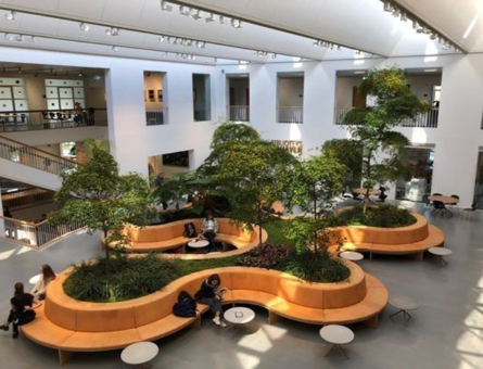 Tendências para 2024 na Construção Civil: Inovação e Sustentabilidade em destaque